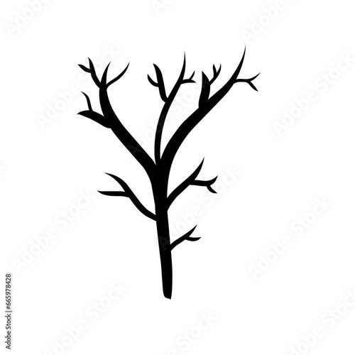 Naked trees silhouettes