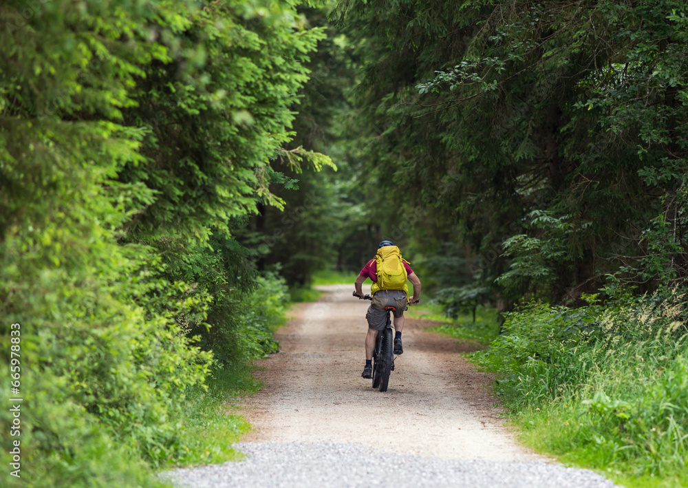 Mature man riding bike in forest in summer Mature man riding bike in forest in summer