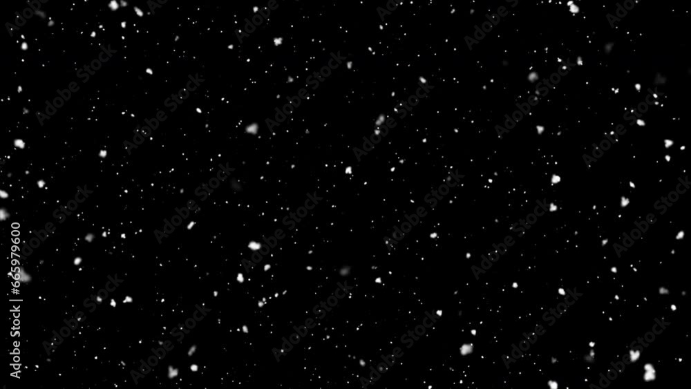 Snowfall. Christmas Snowfall. Winter Snow. Seamless Loop Snowfall. Christmas Snowfall. Winter Snow. Seamless Loop