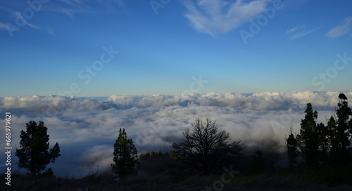 Sunset from the mountain with sea of clouds  blue sky and trees in the foreground