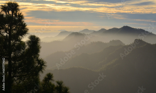 Beautiful sunset with pine tree in the foreground and mountains in the background, summit of Gran Canaria, Canary Islands