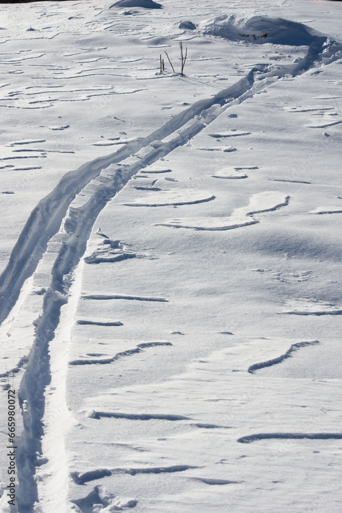ski tracks in the fresh snow - obrazy, fototapety, plakaty 