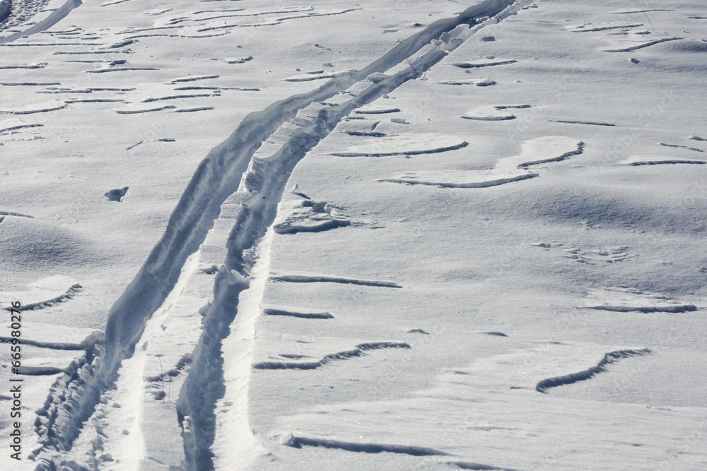ski tracks in the fresh snow - obrazy, fototapety, plakaty 