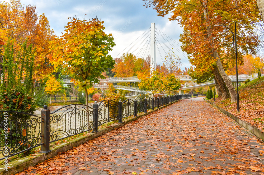 leaves on Ankhor canal embankment in autumn (Tashkent, Uzbekistan) leaves on Ankhor canal embankment in autumn (Tashkent, Uzbekistan)