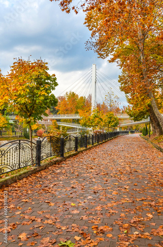 leaves on Ankhor canal embankment in autumn (Tashkent, Uzbekistan)