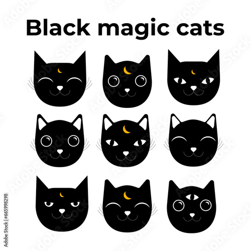 Fototapeta Naklejka Na Ścianę i Meble -  Magical black cats set. Mystery cats illustration. Emotion face.