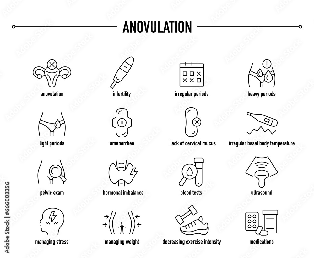 Anovulation symptoms, diagnostic and treatment vector icons. Line editable medical icons.