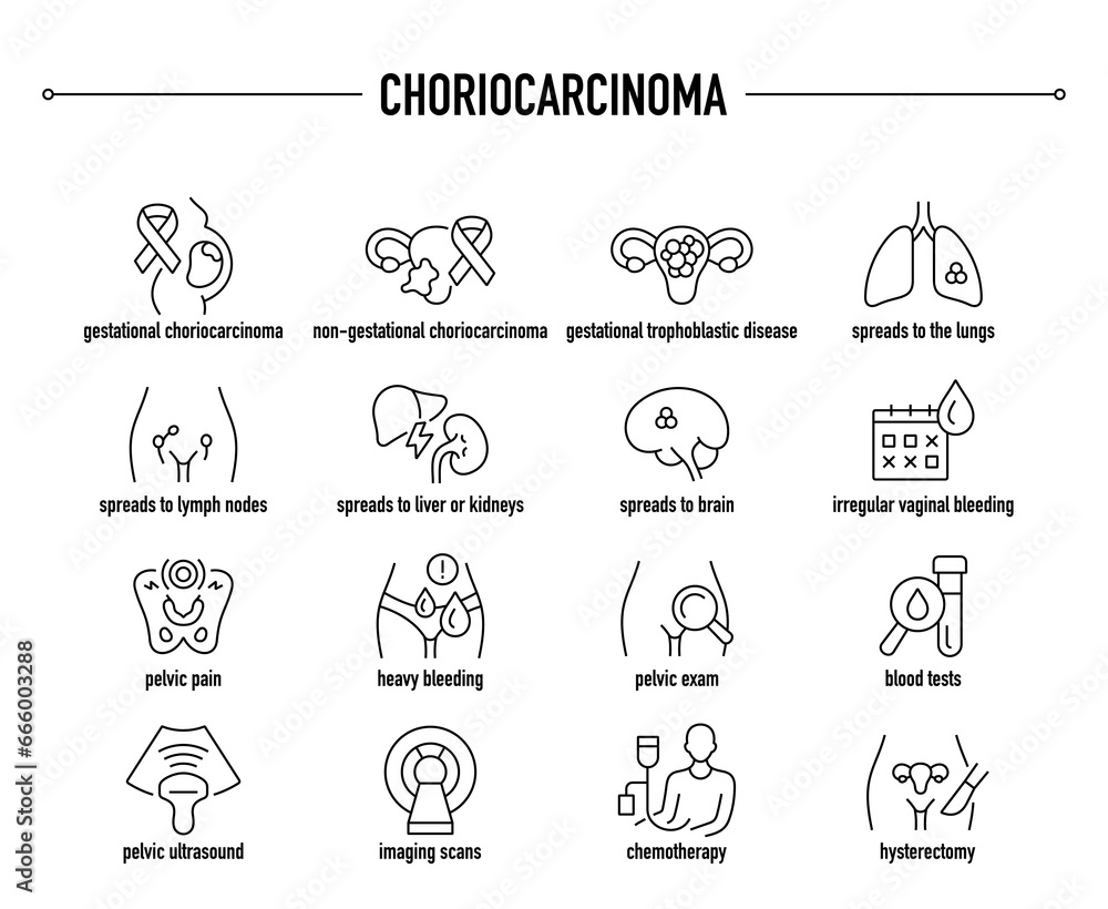 Choriocarcinoma symptoms, diagnostic and treatment vector icons. Line editable medical icons.