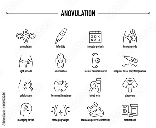 Anovulation symptoms, diagnostic and treatment vector icons. Line editable medical icons. photo