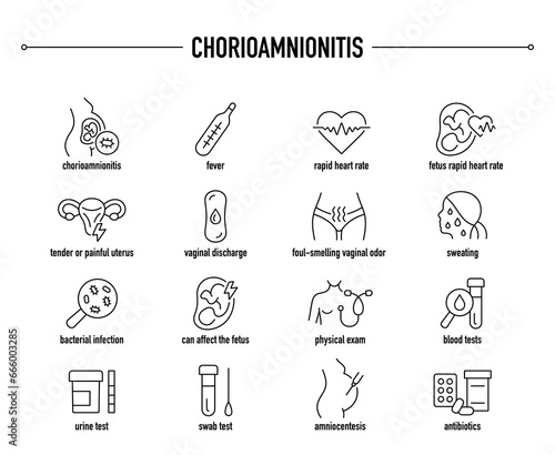 Chorioamnionitis symptoms, diagnostic and treatment vector icons. Line editable medical icons.