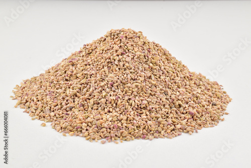 Ajwain on white background, indian spice photo