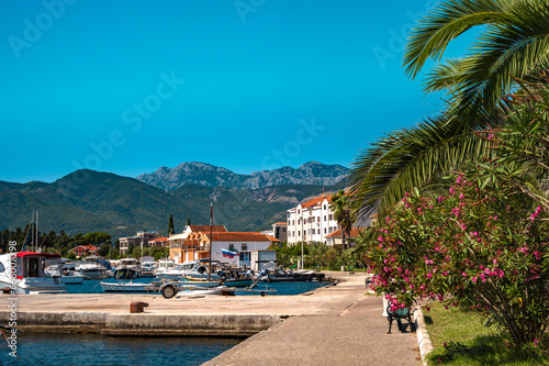 view from marina in Tivat. Montenegro © Saxanad
