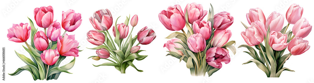Bouquet of pink tulip  illustration clipart. Generative AI.