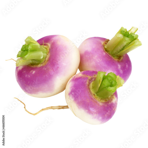 New turnips / transparent background photo