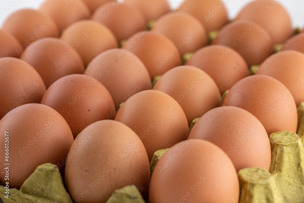  Egg carton, stock photo, Empty egg carton, Brown eggs. close ups