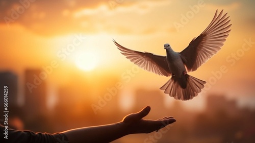 Silhouette pigeon flying out two hands in air vibrant sunlight sunset sunrise background