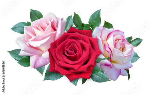 Red and pink rose flowers bouquet for wedding or greeting card isolated on transparent background