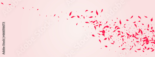 Scarlet Flower Vector Pink Panoramic Background.