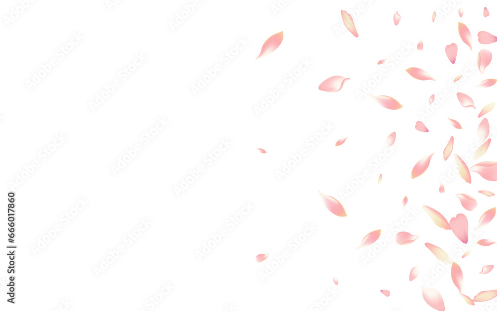 Transparent Cherry Petal Vector White Background. Transparent Cherry Petal Vector White Background.