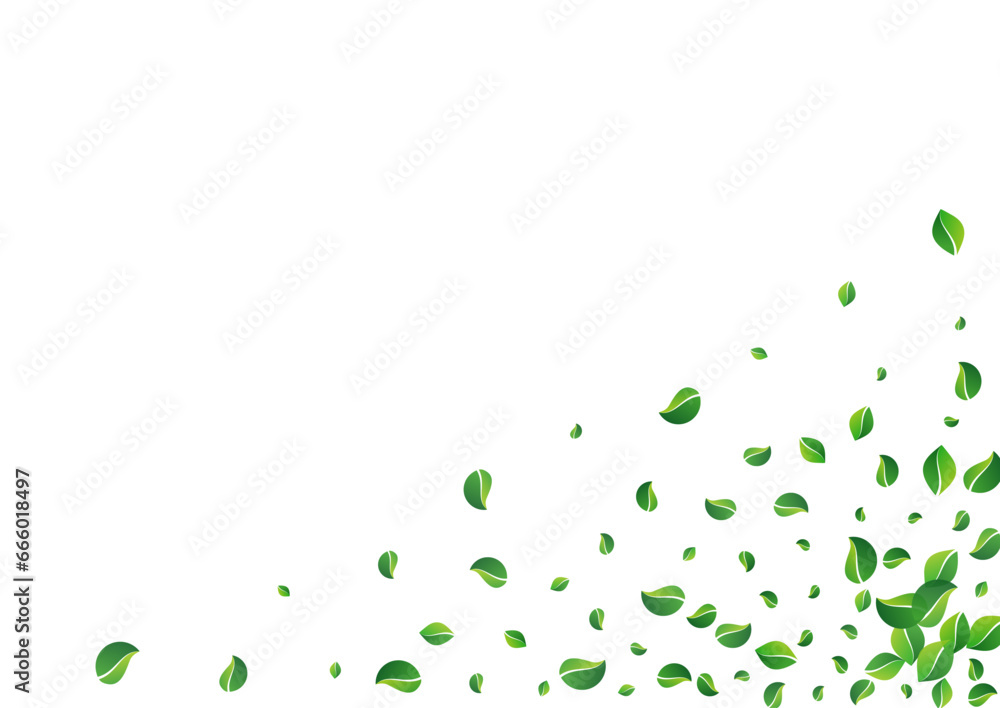 Mint Leaves Ecology Vector White Background. Tree