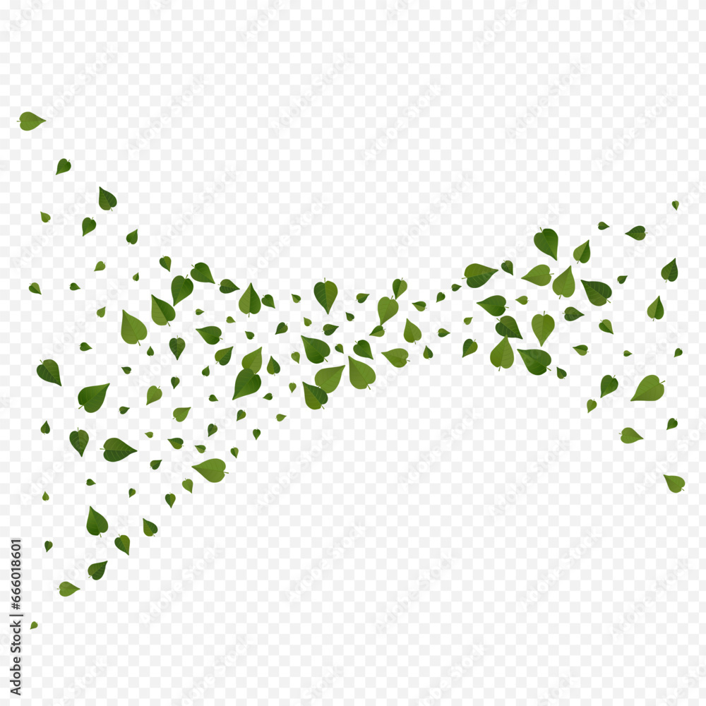 Mint Greens Fresh Vector Transparent Background Mint Greens Fresh Vector Transparent Background