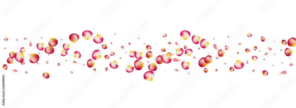 Beautiful Petal Tender Vector Panoramic White Beautiful Petal Tender Vector Panoramic White