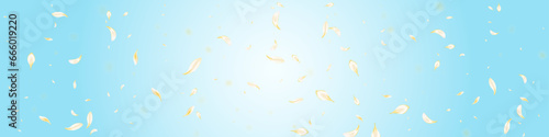 Gold Sakura Summer Vector Panoramic Blue