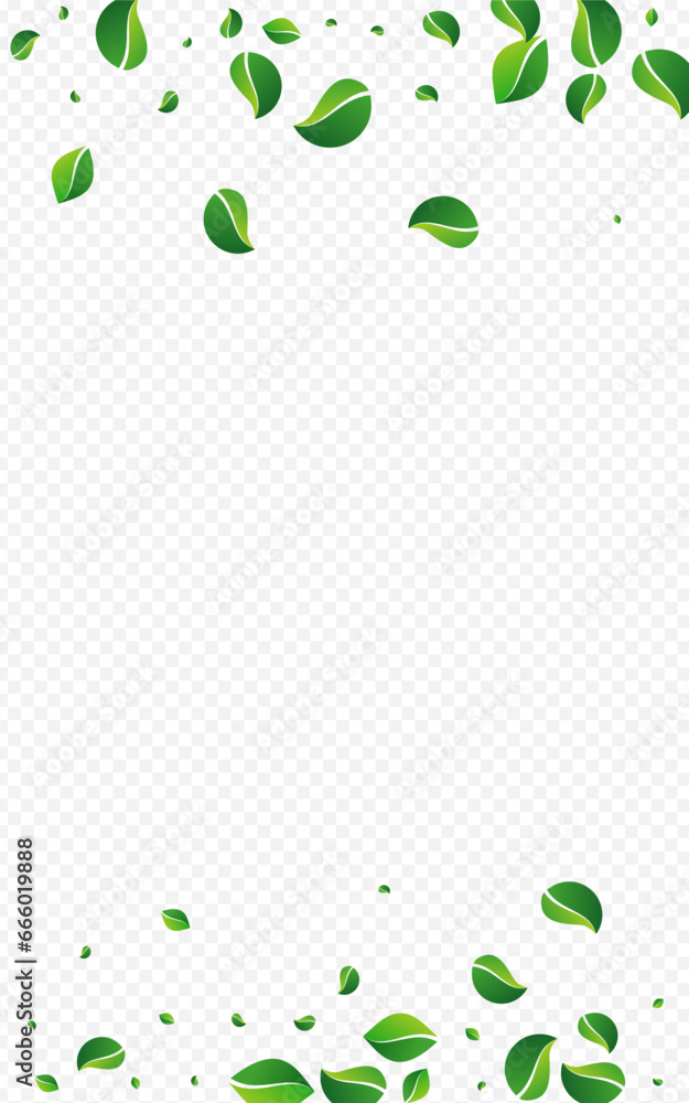 Lime Foliage Fly Vector Transparent Background. Lime Foliage Fly Vector Transparent Background.