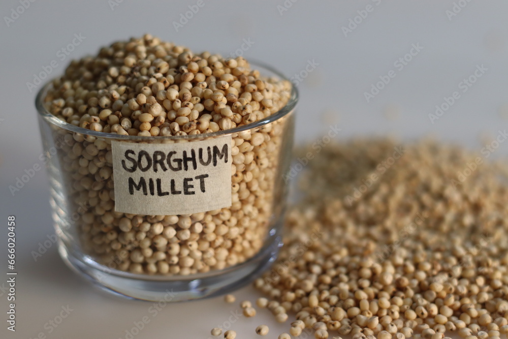 Closeup of sorghum millet grains kept in a glass bowl with label on it and filled to the brim Closeup of sorghum millet grains kept in a glass bowl with label on it and filled to the brim