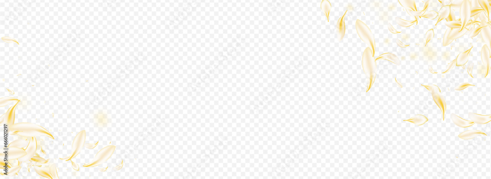 Obraz premium Delicate Blossom Fly Vector Panoramic Transparent