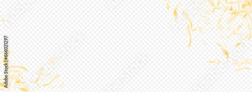 Delicate Blossom Fly Vector Panoramic Transparent