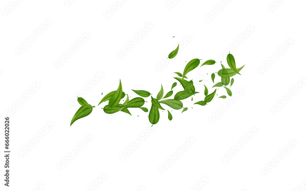 Lime Leaves Motion Vector White Background Lime Leaves Motion Vector White Background