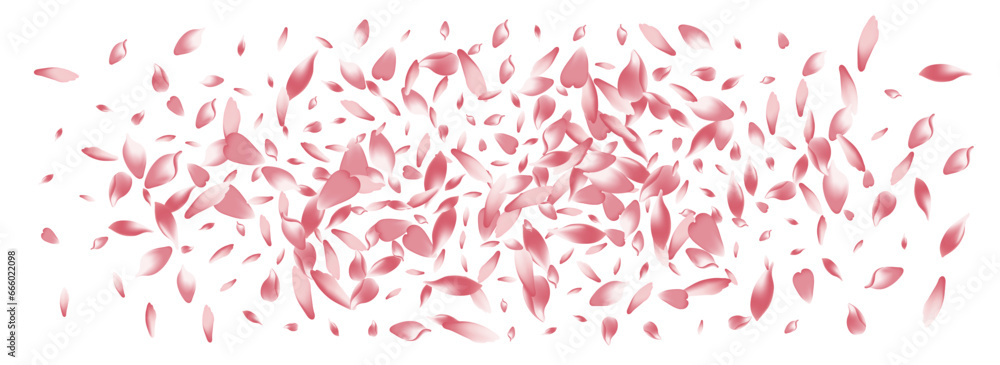 Transparent Flower Petal Vector Panoramic Transparent Flower Petal Vector Panoramic