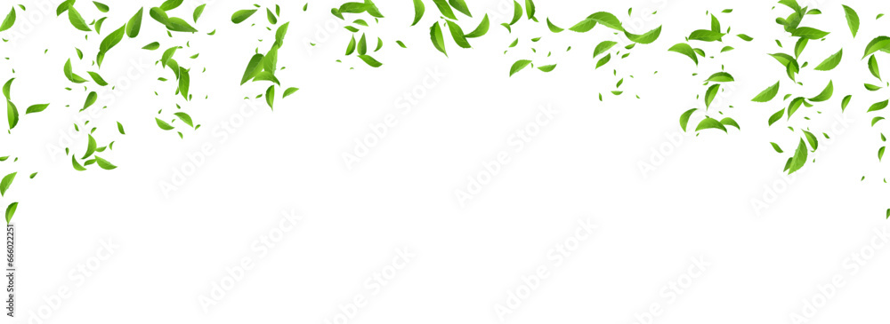 Lime Greens Motion Vector Panoramic White