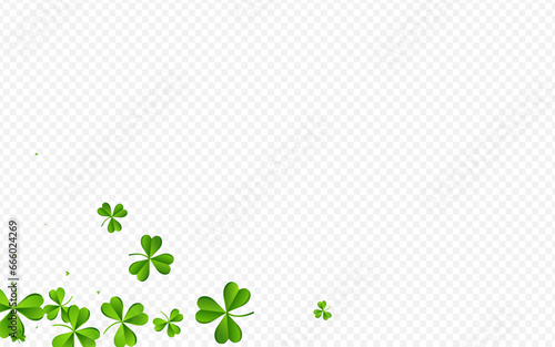 Olive color Clover Saint Patrick Vector