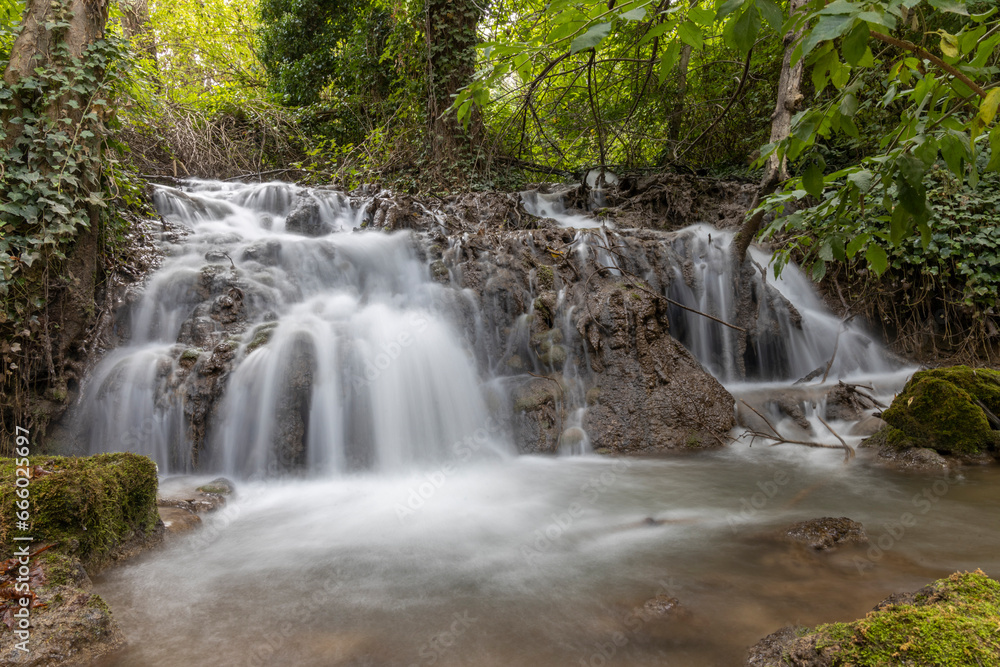 cascada natural en un bosque