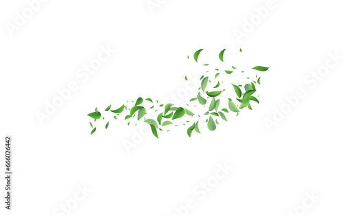 Green Greens Ecology Vector White Background