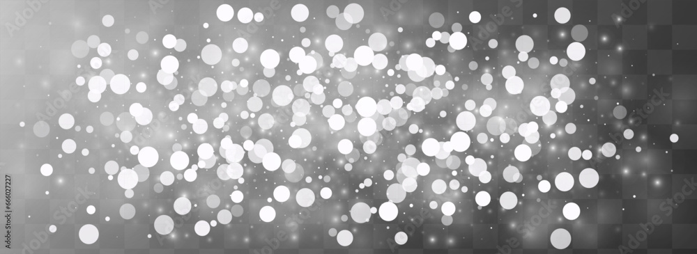 Winter Snowflake Vector Transparent Panoramic