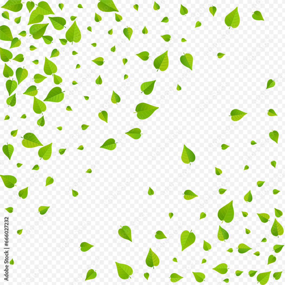 Forest Foliage Falling Vector Transparent