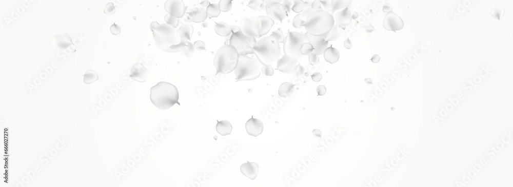 Delicate Lotus Vector Light Panoramic Background. Delicate Lotus Vector Light Panoramic Background.
