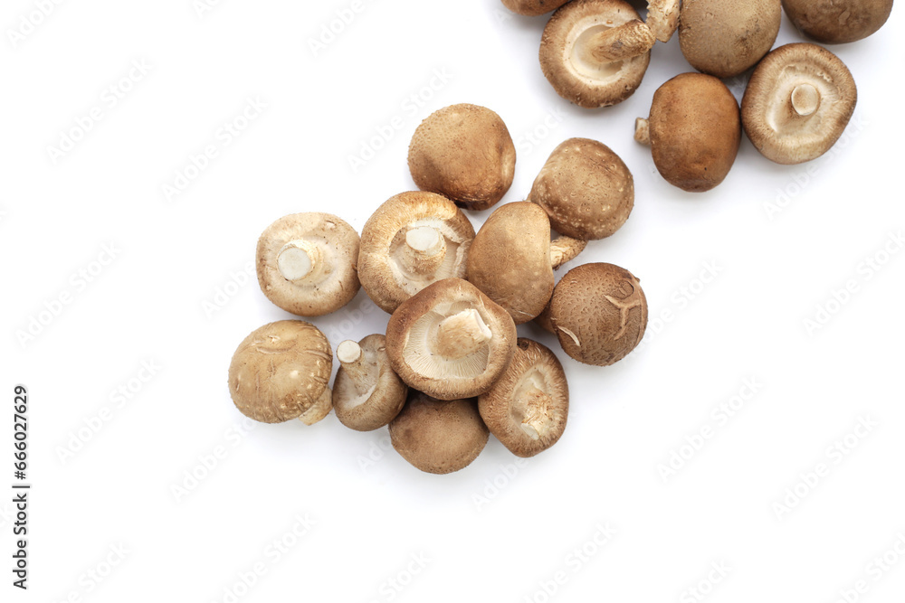 Fresh shiitake mushrooms on white background. Fresh shiitake mushrooms on white background.