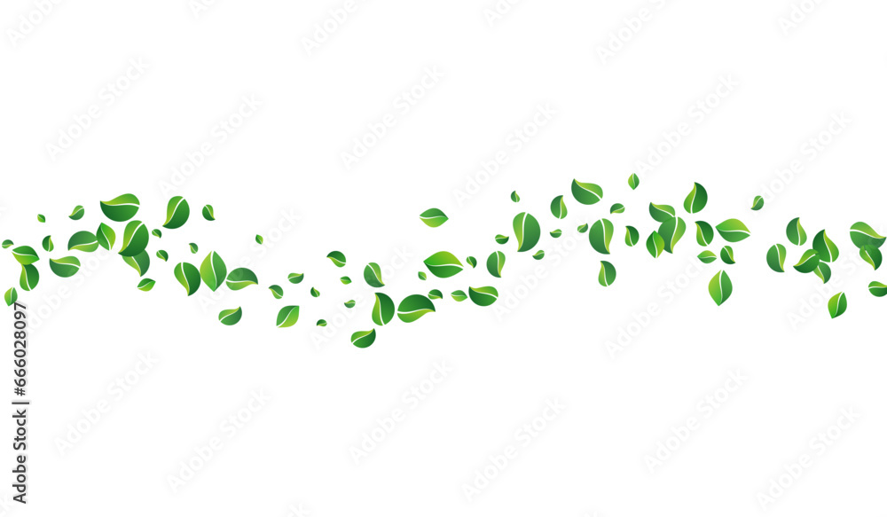 Green Leaf Fly Vector White Background. Organic Green Leaf Fly Vector White Background. Organic