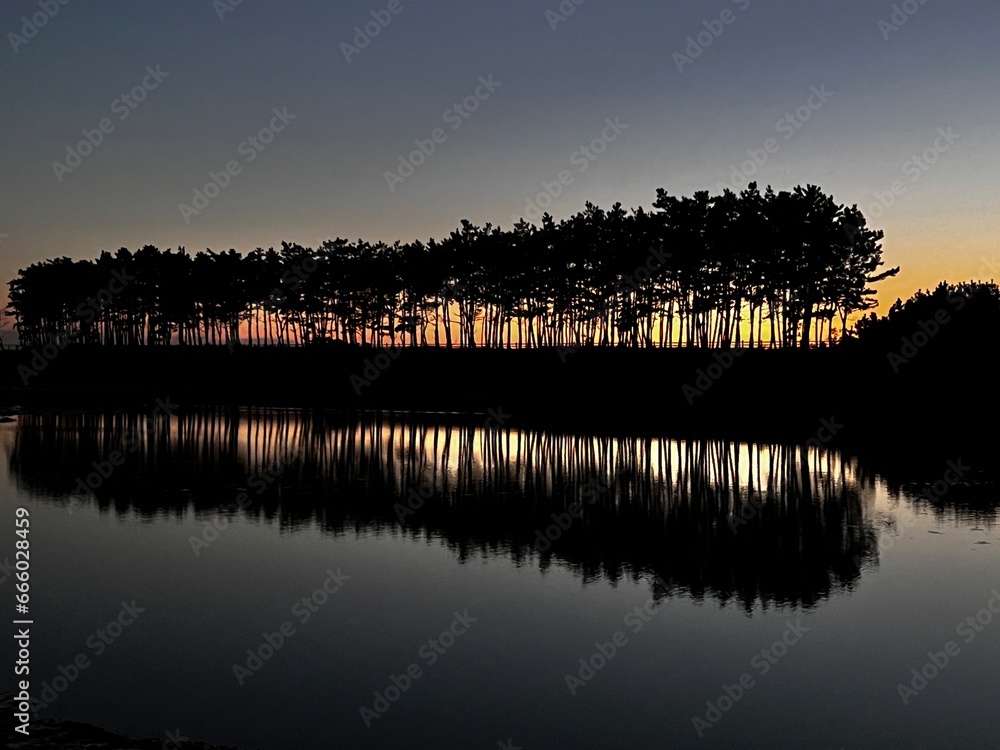 Obraz premium Forest reflected in the sunset sea