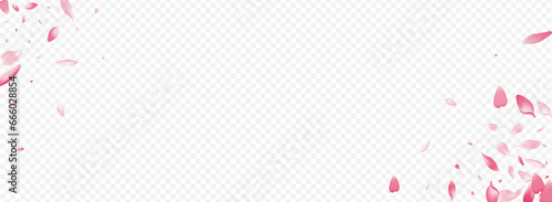 White Floral Vector Panoramic Transparent