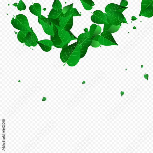 Olive Greens Falling Vector Transparent