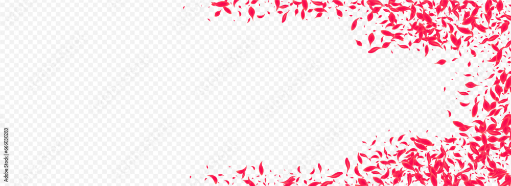 Delicate Sakura Vector Transparent Panoramic Delicate Sakura Vector Transparent Panoramic