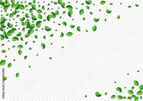 Forest Foliage Forest Vector Transparent
