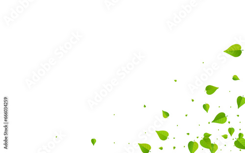 Green Leaf Abstract Vector White Background