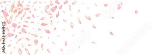 White Rose Petal Vector Panoramic Background.