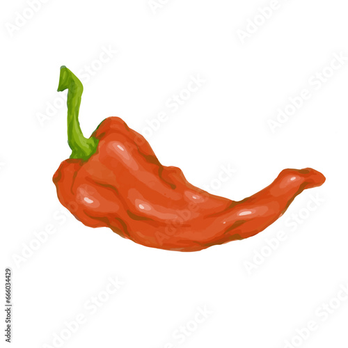 A pod of red hot chili pepper. Vector graphics.